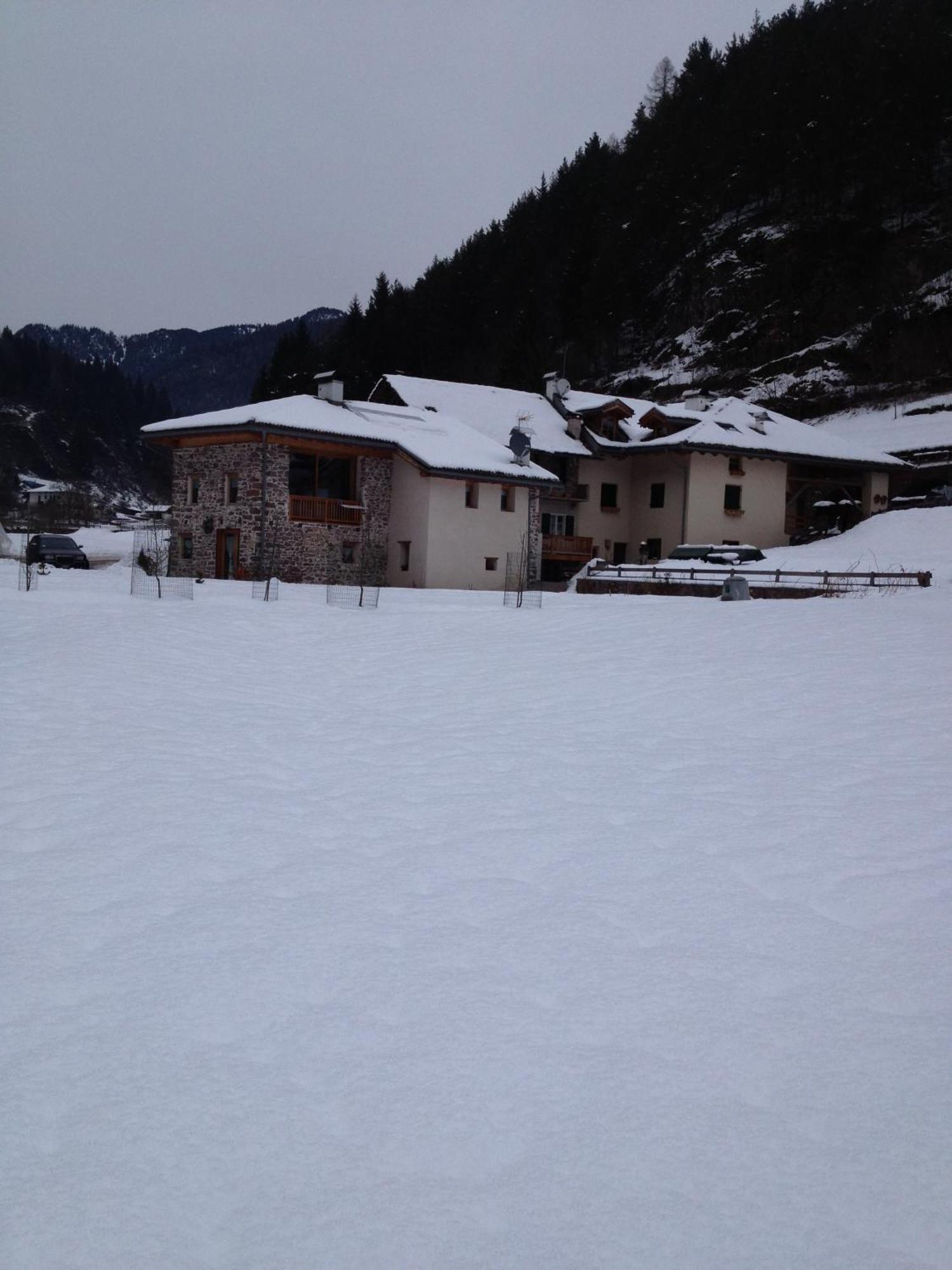 Hotel Maso Toneto Castello-Molina di Fiemme Exterior foto